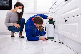 Best Real Estate Pest Inspections  in Eagleview, PA